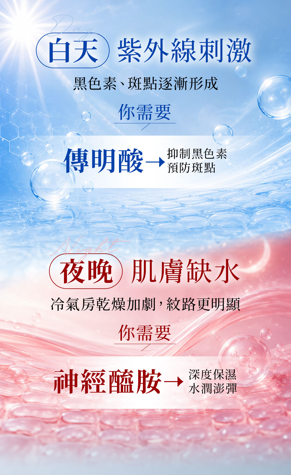 背景圖 5