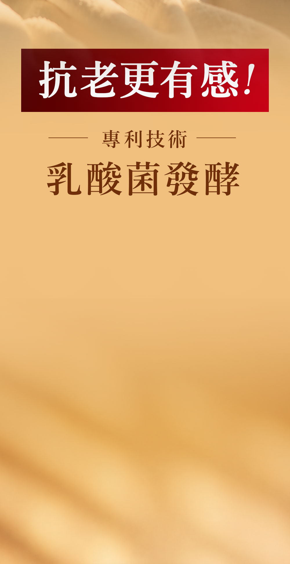 背景圖 2