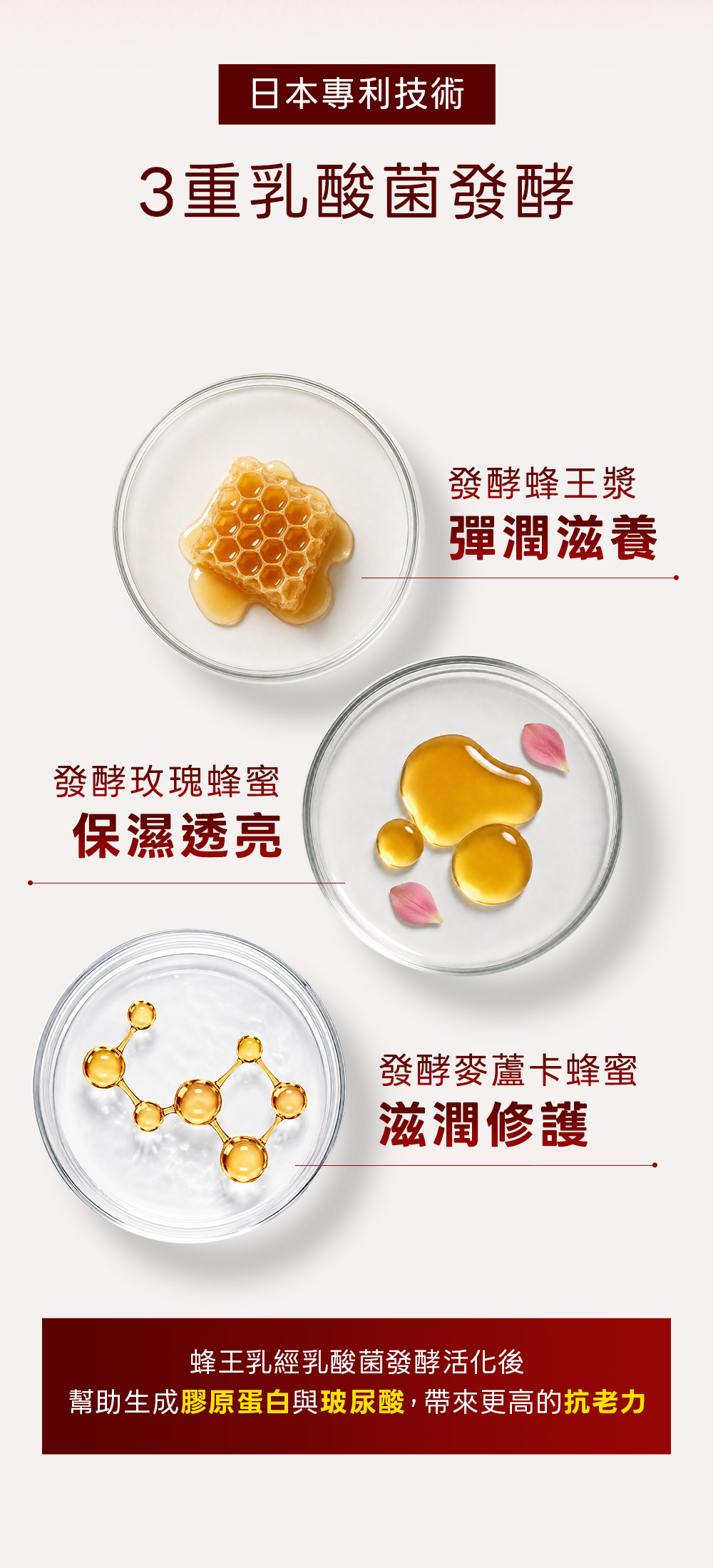 背景圖 5