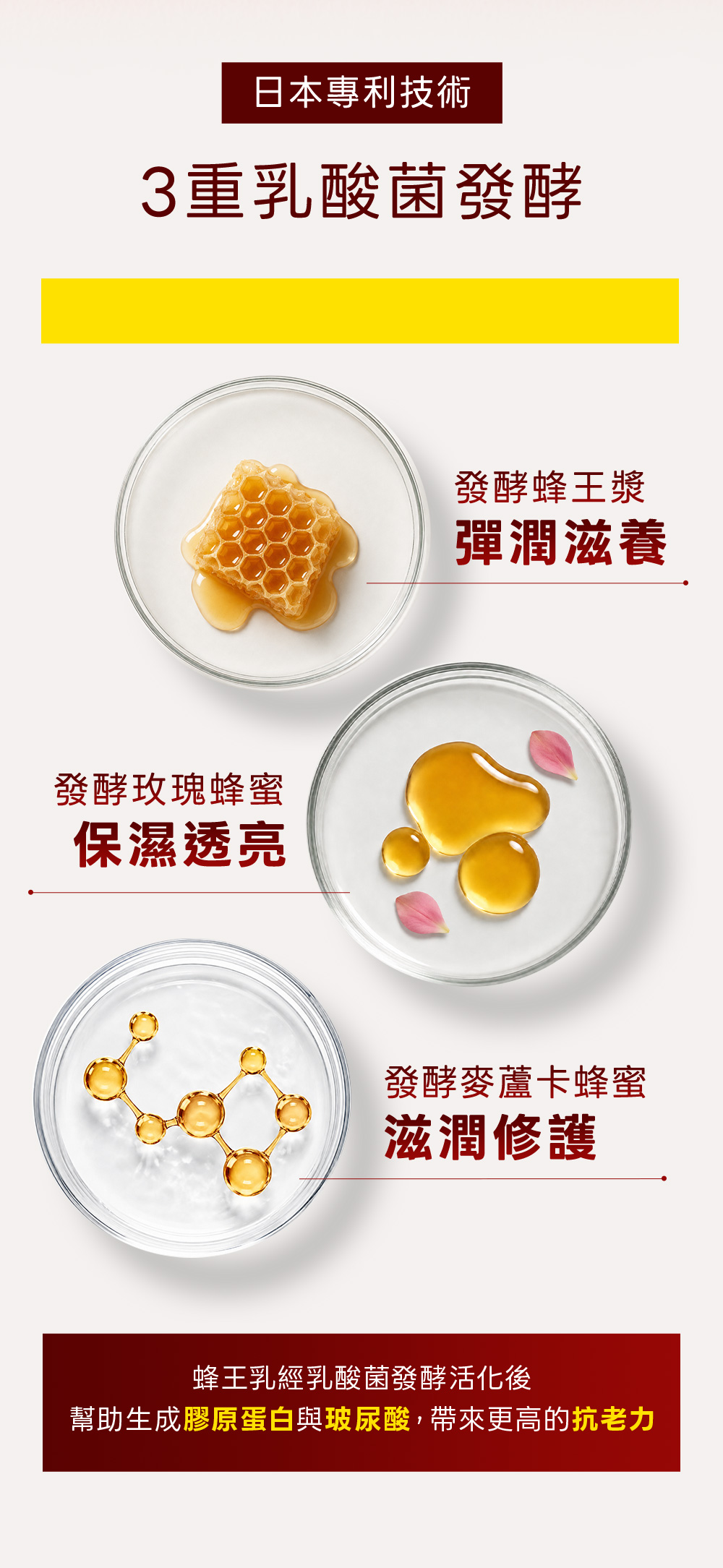 背景圖 5