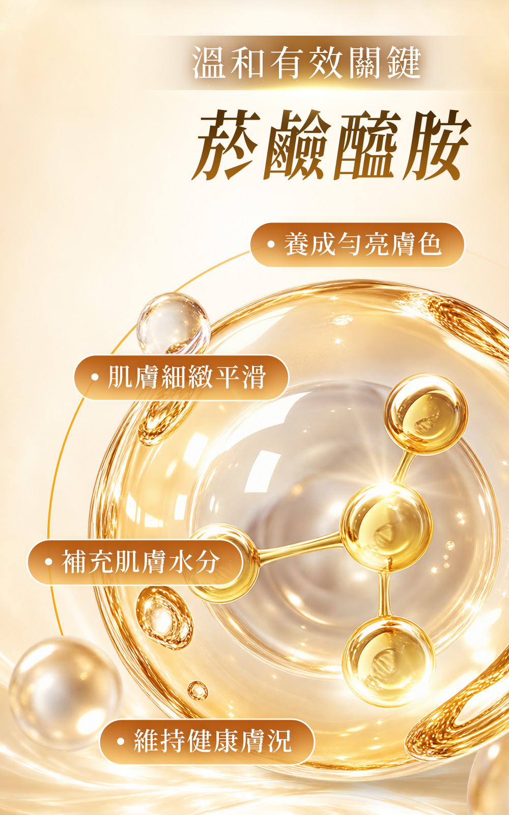 背景圖 8