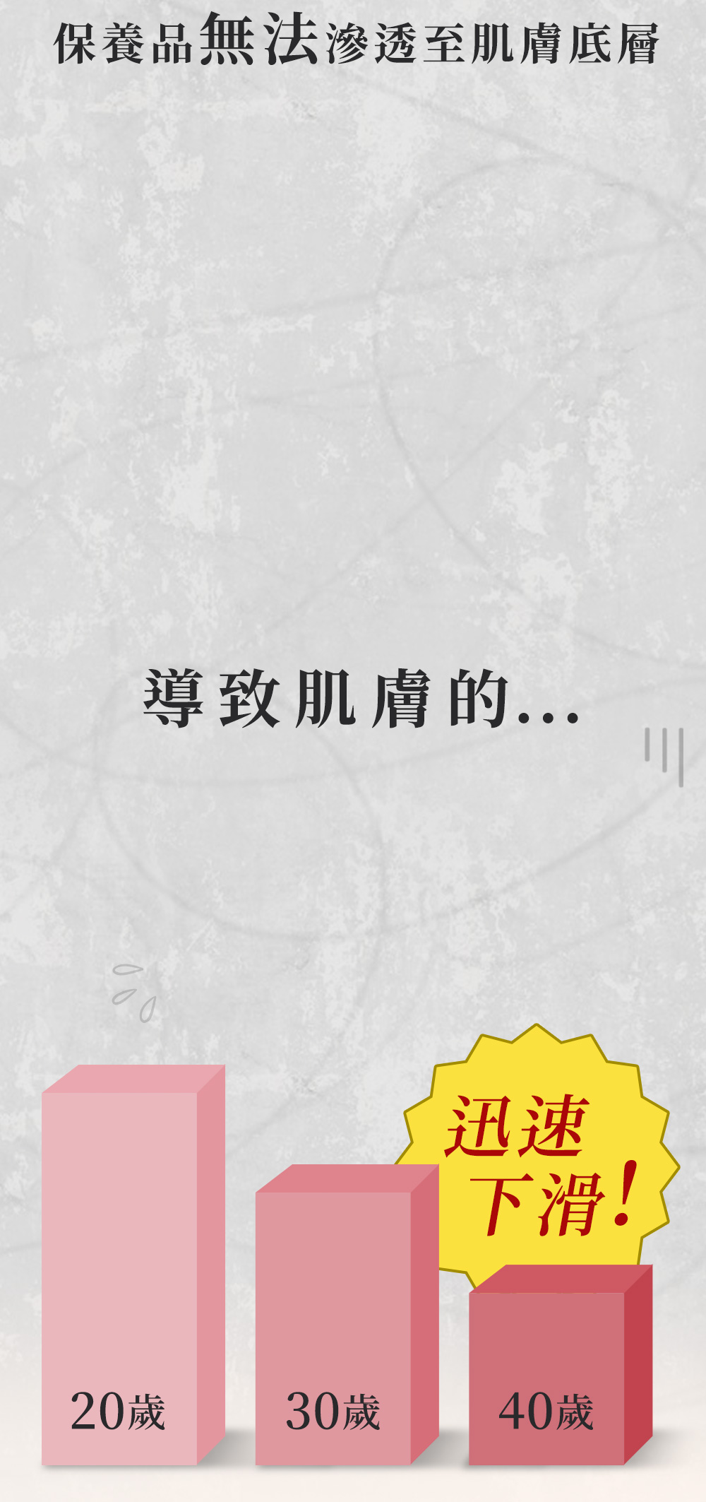背景圖 5
